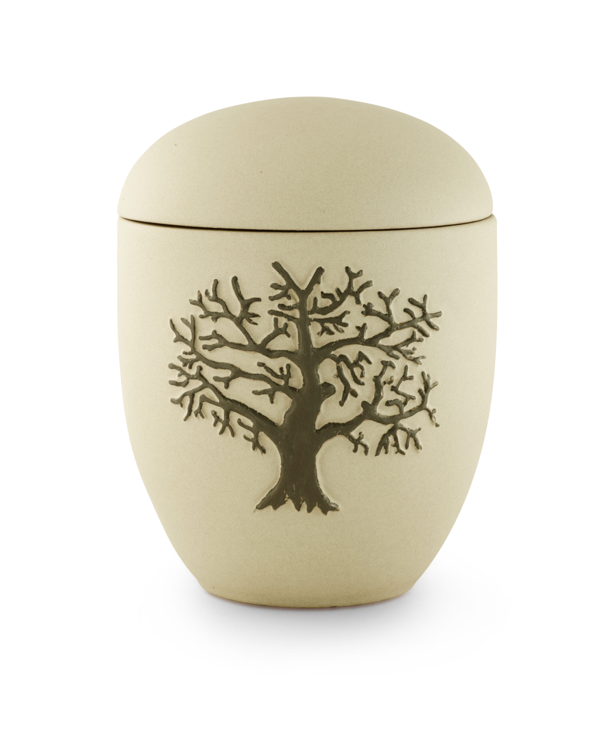 Read more about the article 17