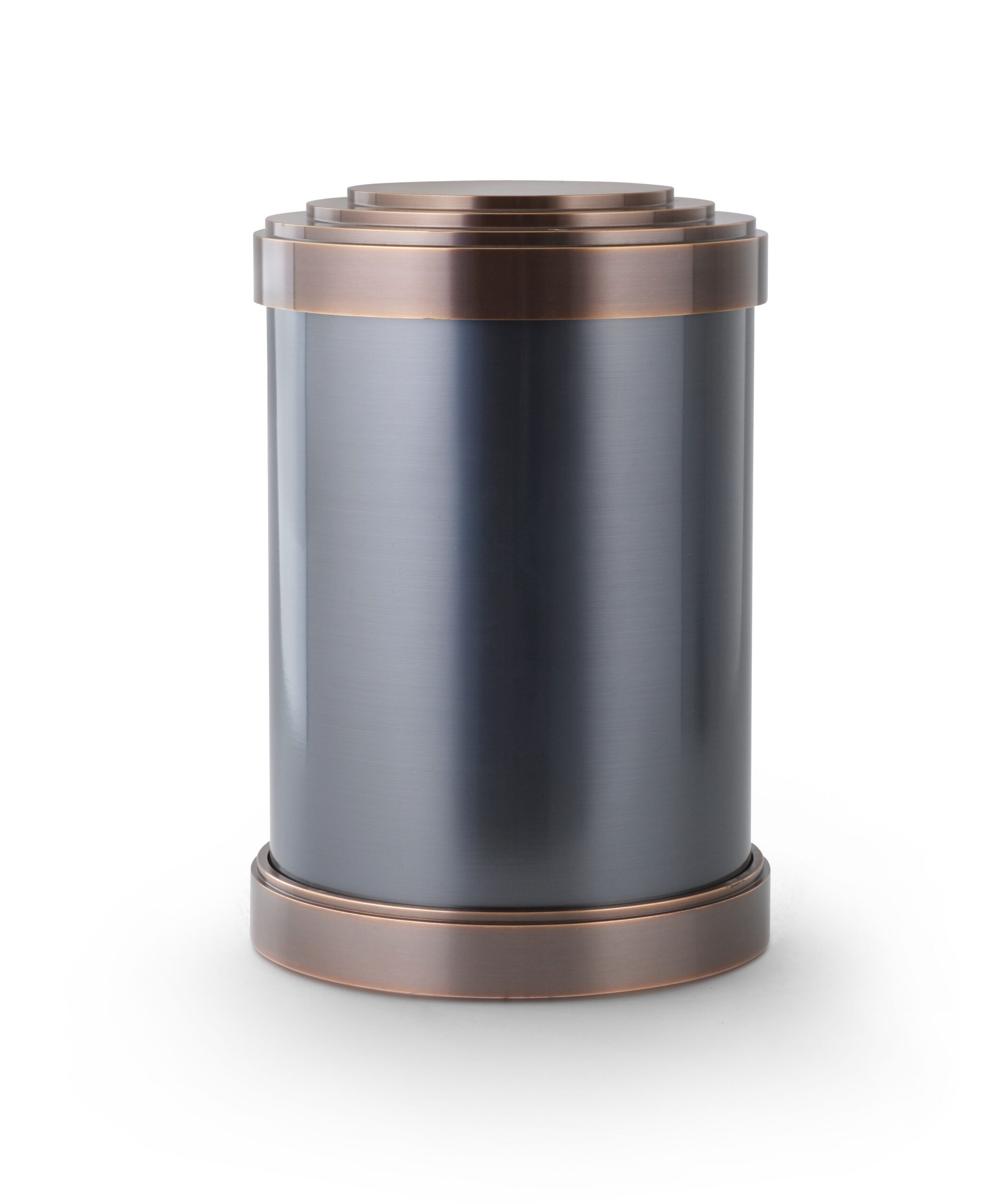 Read more about the article 310