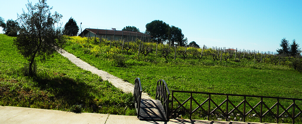 Κοινωνική προσφορά του Αποτεφρωτηρίου στις Γυναικείες Φυλακές Ελεώνα